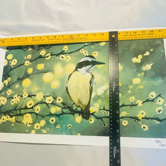 Beaconhill Collective Spring Bird Limited Edition 480/1000 Giclee Print 12x20.5” - Picture 8 of 12